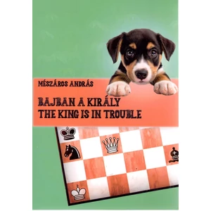 Mészáros András - Bajban a k