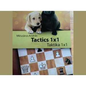 Mészáros András: Taktika 1x1