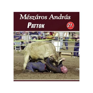 Mészáros András: Pattok